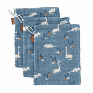 washand dino
