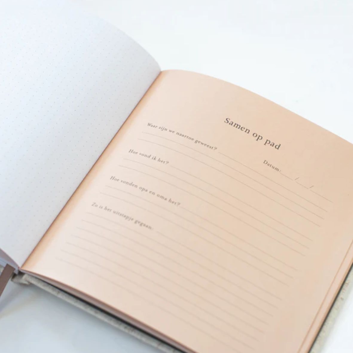 Ontwerp zonder titel - 2026-03-25T210538.017