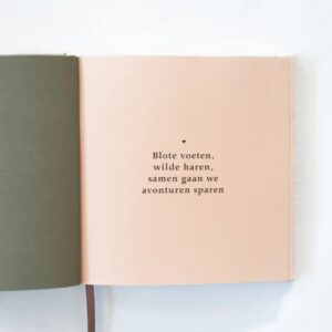 Ontwerp zonder titel - 2026-03-25T210550.864