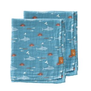 Ontwerp zonder titel - 2026-04-13T071146.343